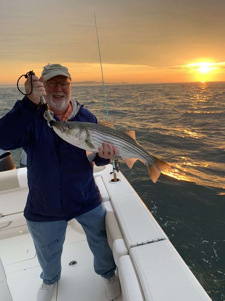 fish and bait